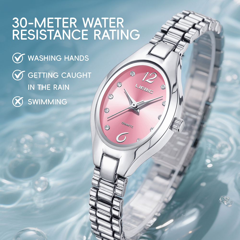 LIEBIG New Stainless Steel Str - Luxury Watch List 리뷰 및 가격